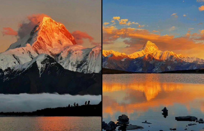 一只喵叫小轩（互fo） (@yizhimiaojiao)